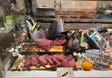 Frischer Thunfisch direkt aus dem Indischen Ozean