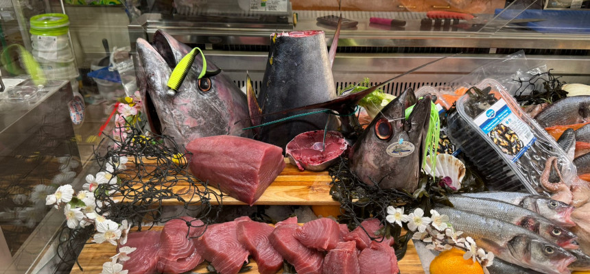 Frischer Thunfisch direkt aus dem Indischen Ozean