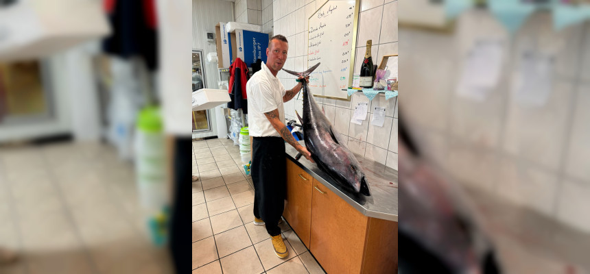 Frischer Thunfisch direkt aus dem Indischen Ozean